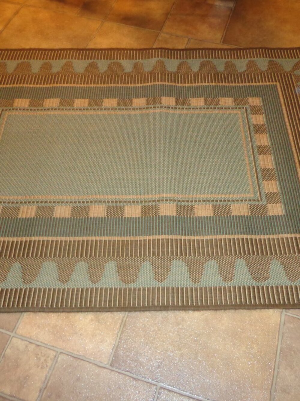 Liora Manne Wilton Woven Area Rug TERRACE Made in Turkey Border Agua 39"x59"